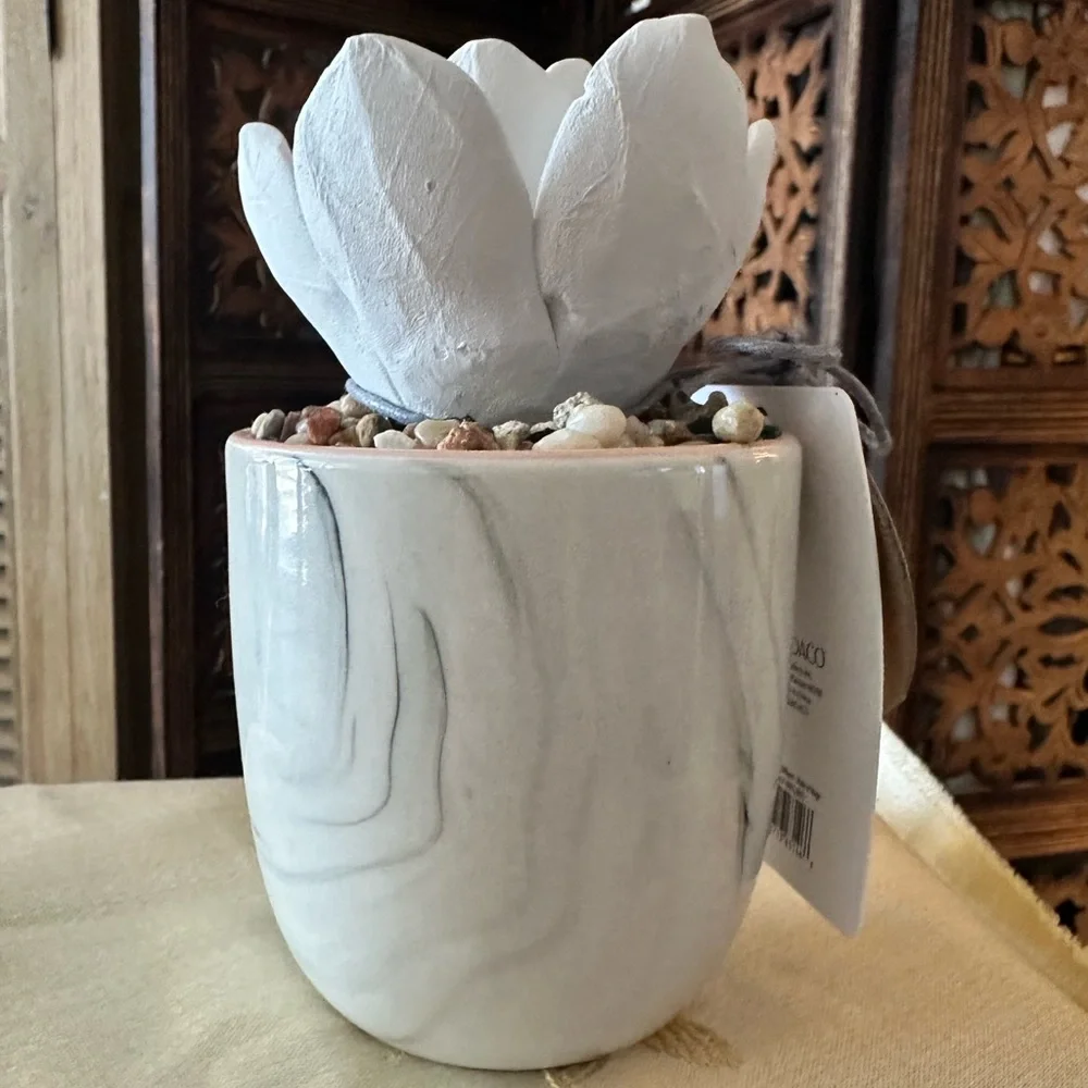 Demdaco Succulent Stoneware Essential Oil Diffuser. You Are Made Of Magic.